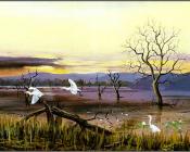 乔治 菲利普斯 : Australian Bush